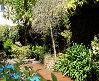 Cotter House Luxury Retreat Bed & Breakfast Auckland Ngoại thất bức ảnh